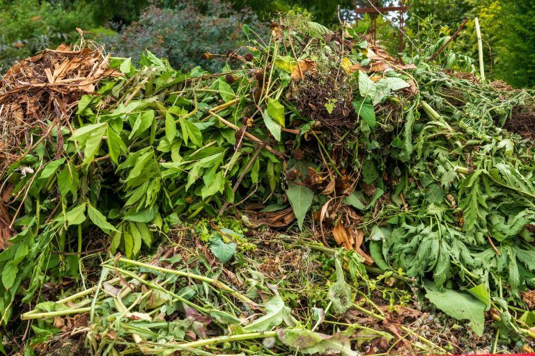 Garden Waste